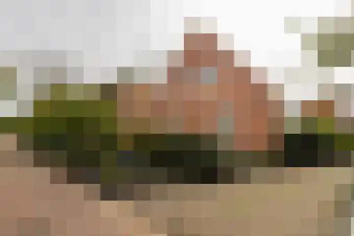 Skoallestrjitte 2 Eastrum thumbnail 7