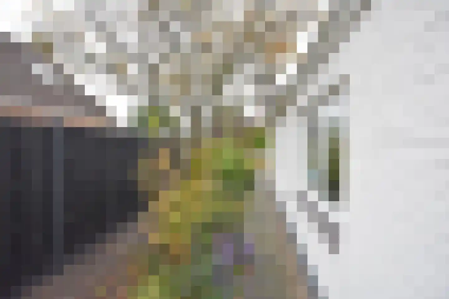 Skoallestrjitte 25 De Westereen thumbnail 15