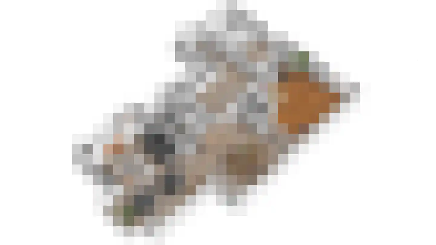 Skoallestrjitte 25 De Westereen thumbnail 16