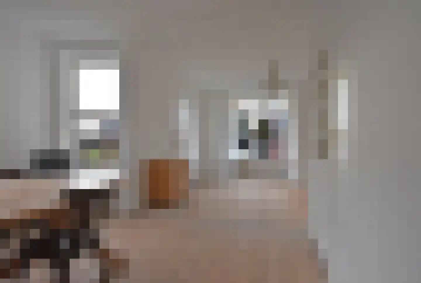 Skoallestrjitte 25 De Westereen thumbnail 19