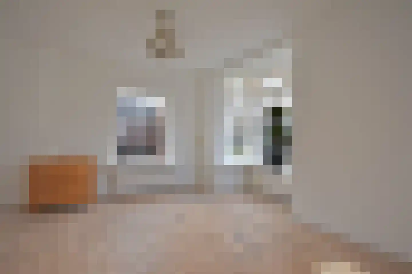 Skoallestrjitte 25 De Westereen thumbnail 22