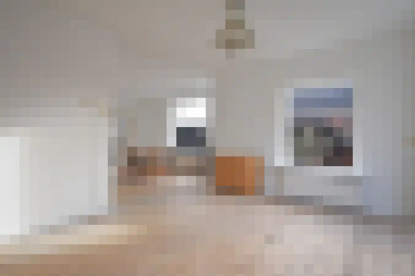 Skoallestrjitte 25 De Westereen thumbnail 23