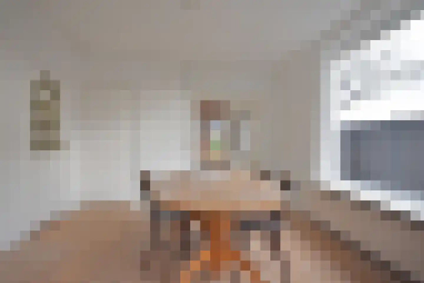 Skoallestrjitte 25 De Westereen thumbnail 25