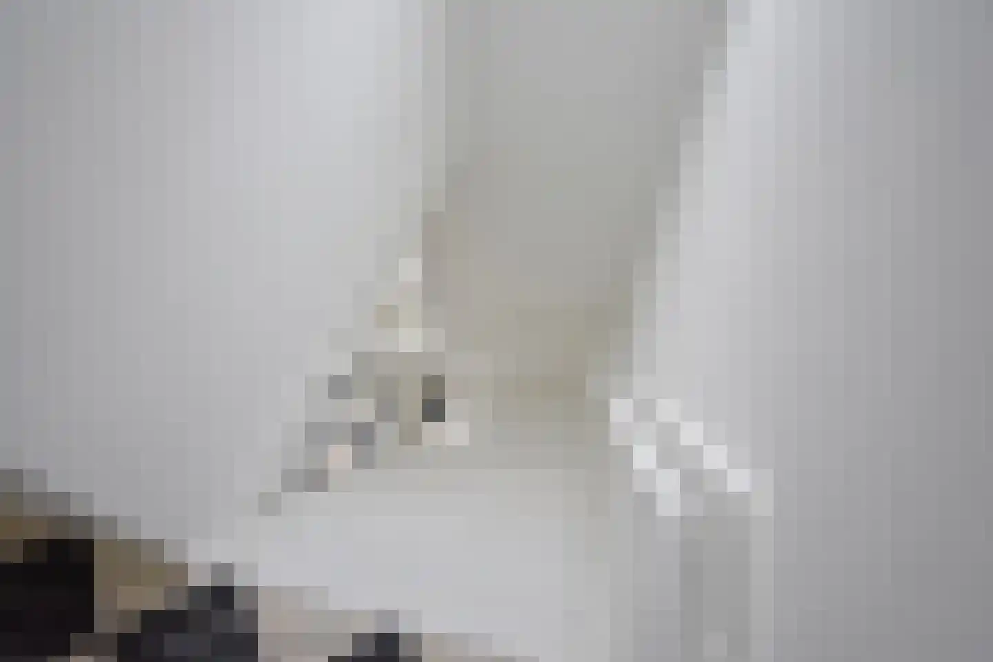 Skoallestrjitte 25 De Westereen thumbnail 38