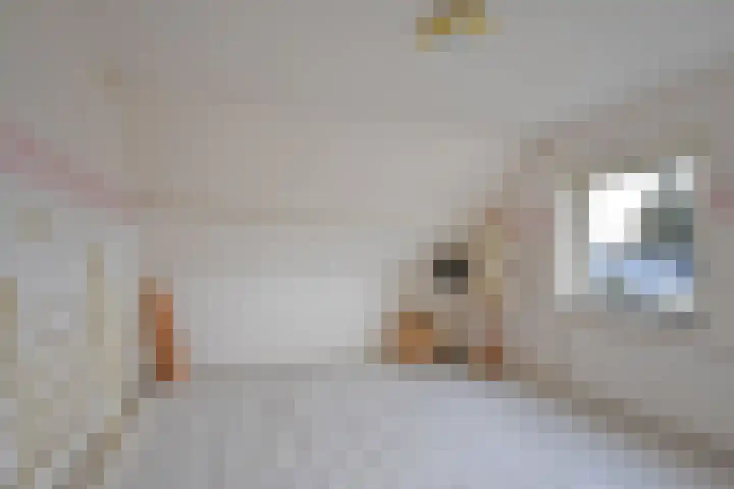 Skoallestrjitte 25 De Westereen thumbnail 41
