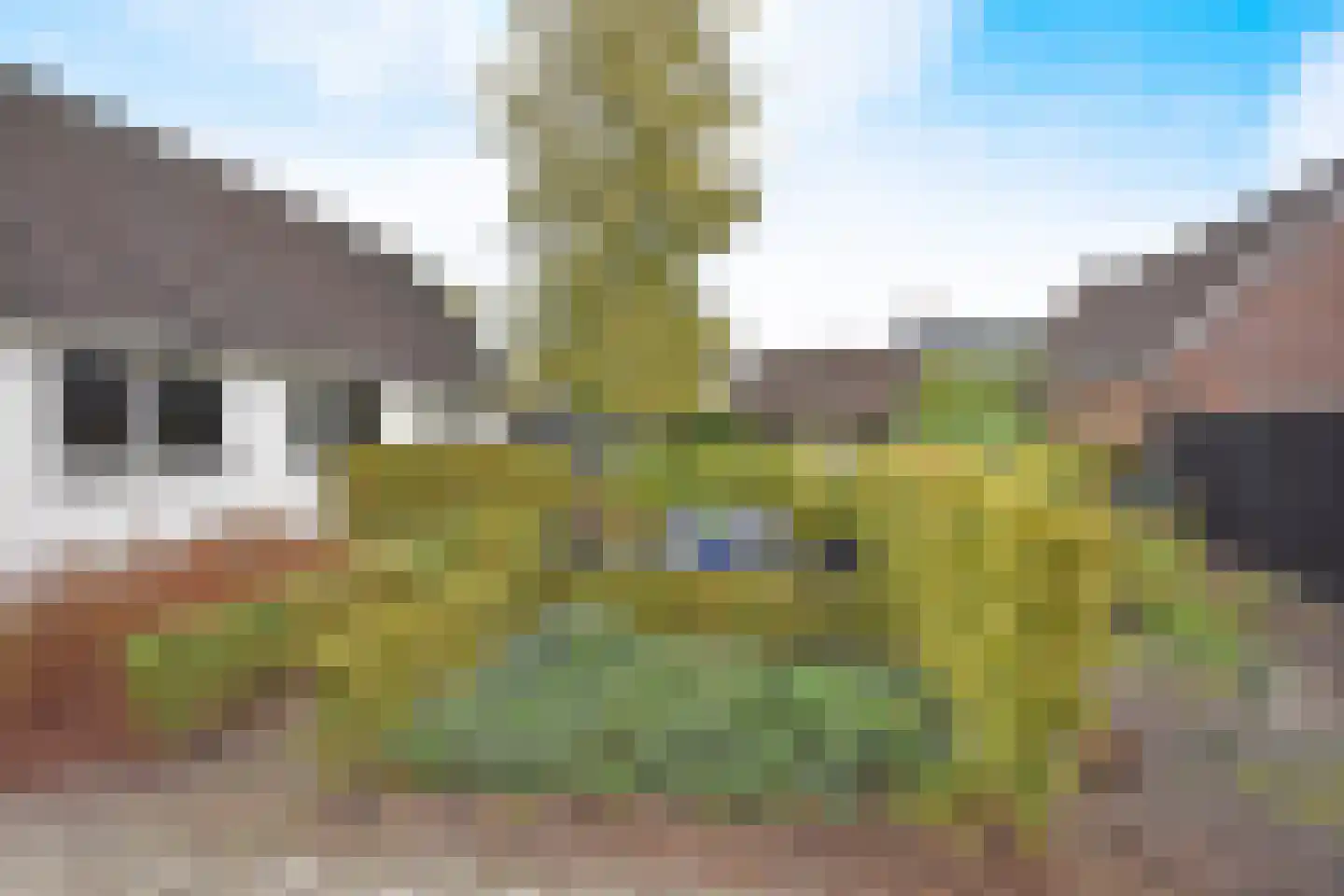 Skoallestrjitte 25 De Westereen thumbnail 9