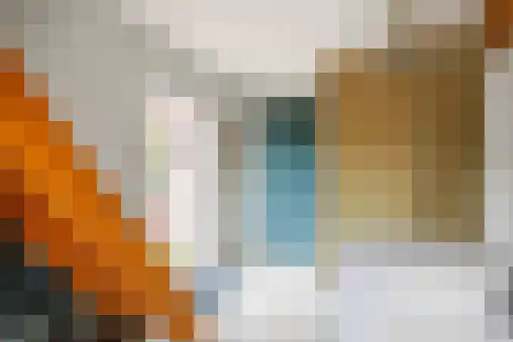 Skoallestrjitte 7 Berltsum thumbnail 19