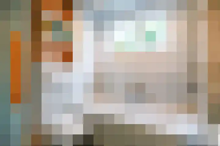 Skoallestrjitte 7 Berltsum thumbnail 20