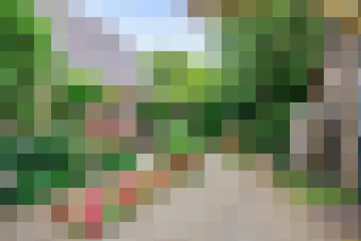 Skoallestrjitte 7 Berltsum thumbnail 38
