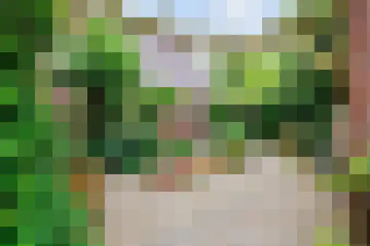 Skoallestrjitte 7 Berltsum thumbnail 4