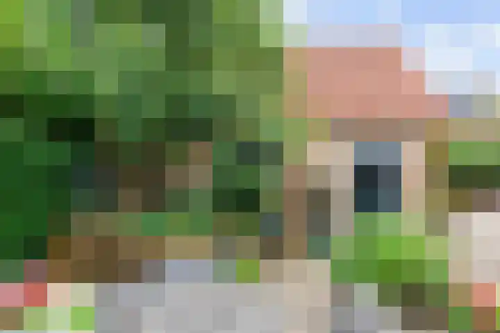 Skoallestrjitte 7 Berltsum thumbnail 40