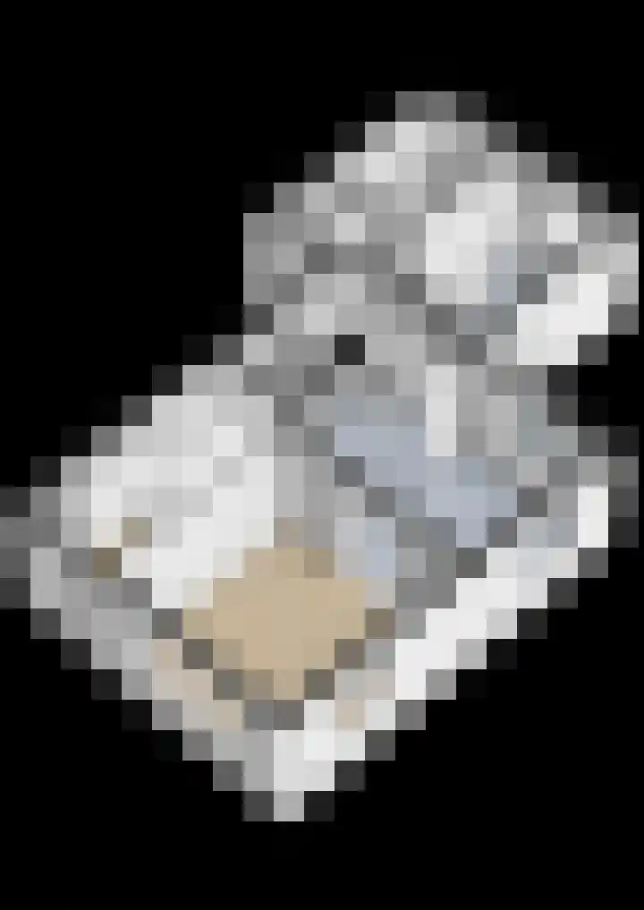 Skoallestrjitte 7 Berltsum thumbnail 46