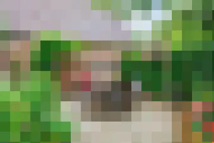 Skoallestrjitte 7 Berltsum thumbnail 5