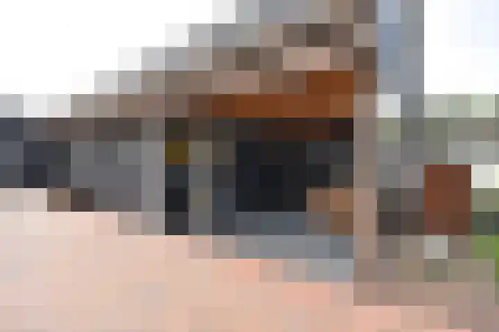 Skoallestrjitte 9 De Westereen thumbnail 11