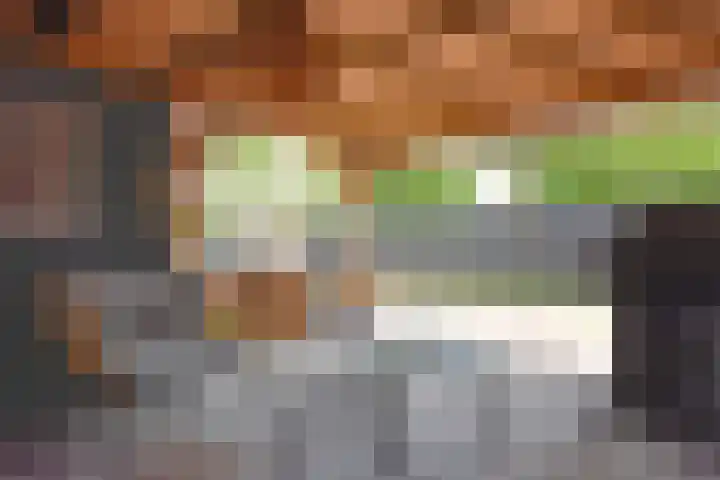 Skoallestrjitte 9 De Westereen thumbnail 13