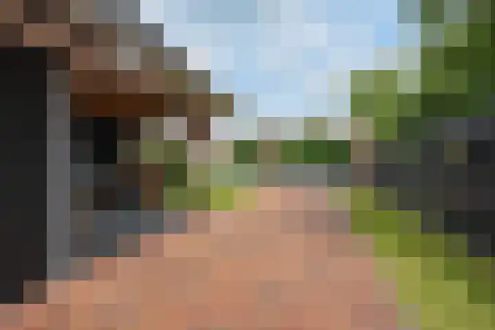 Skoallestrjitte 9 De Westereen thumbnail 14