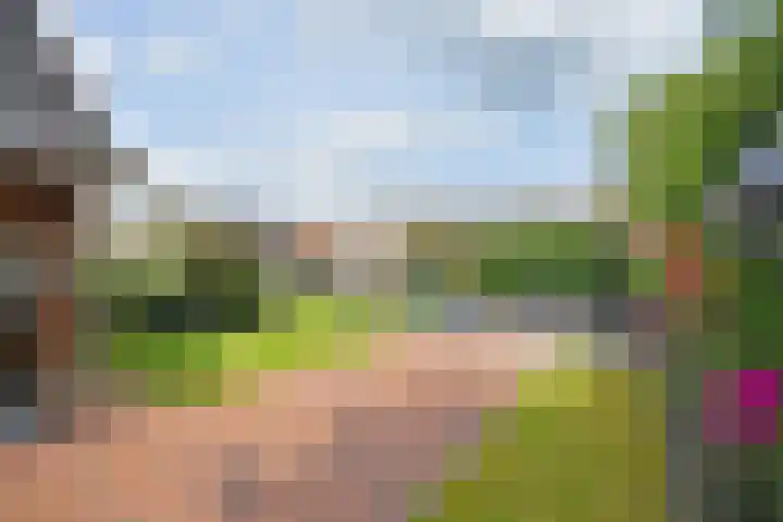 Skoallestrjitte 9 De Westereen thumbnail 15