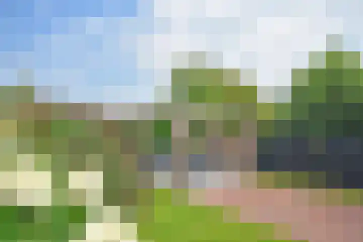 Skoallestrjitte 9 De Westereen thumbnail 17