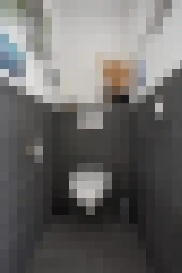 Skoallestrjitte 9 De Westereen thumbnail 25