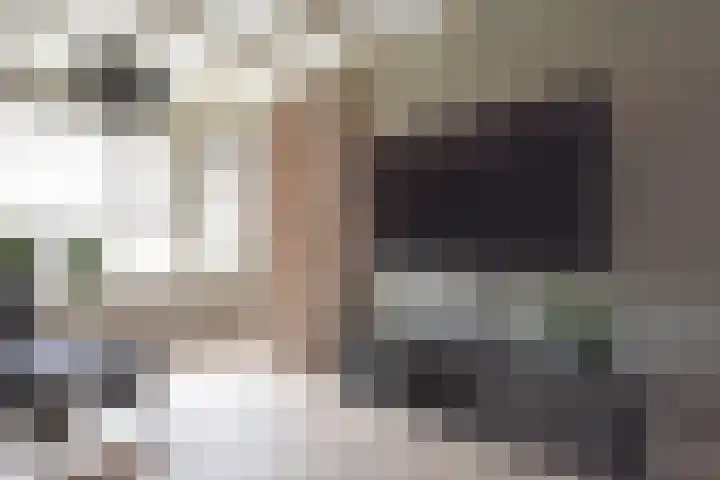 Skoallestrjitte 9 De Westereen thumbnail 30