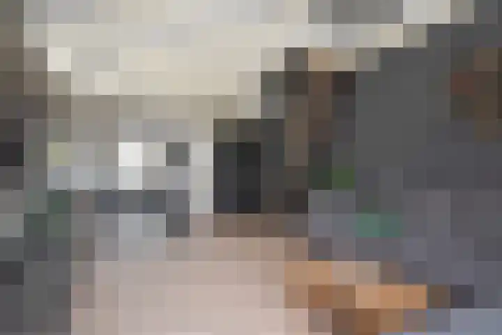 Skoallestrjitte 9 De Westereen thumbnail 31