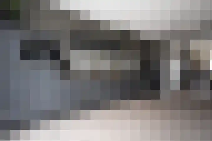 Skoallestrjitte 9 De Westereen thumbnail 36