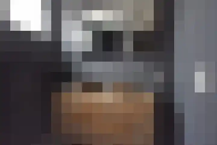 Skoallestrjitte 9 De Westereen thumbnail 39