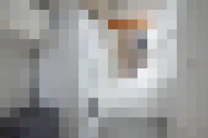 Skoallestrjitte 9 De Westereen thumbnail 41