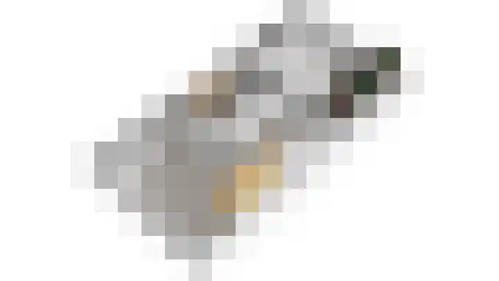 Skoallestrjitte 9 De Westereen thumbnail 43