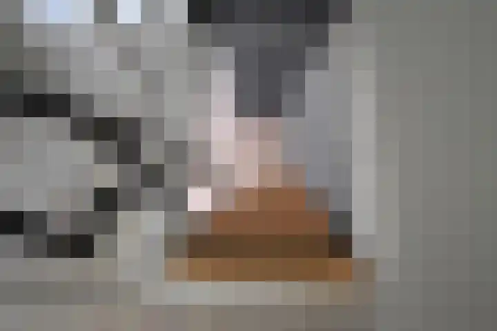 Skoallestrjitte 9 De Westereen thumbnail 44