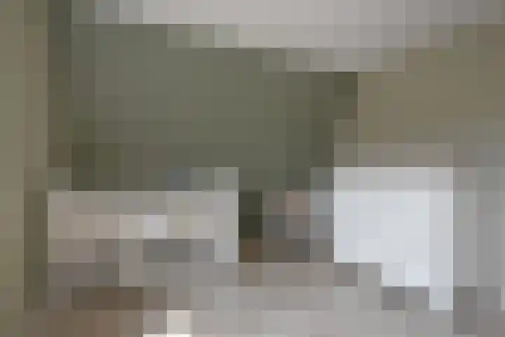 Skoallestrjitte 9 De Westereen thumbnail 48