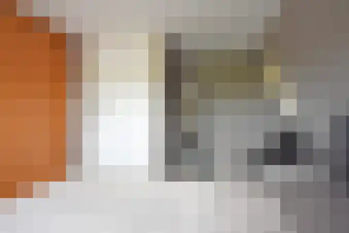 Skoallestrjitte 9 De Westereen thumbnail 52
