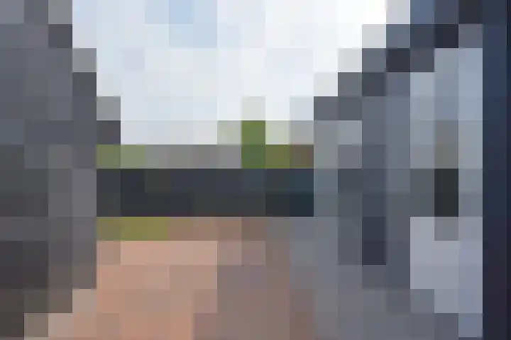 Skoallestrjitte 9 De Westereen thumbnail 7