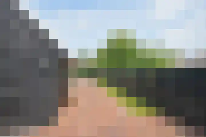 Skoallestrjitte 9 De Westereen thumbnail 8