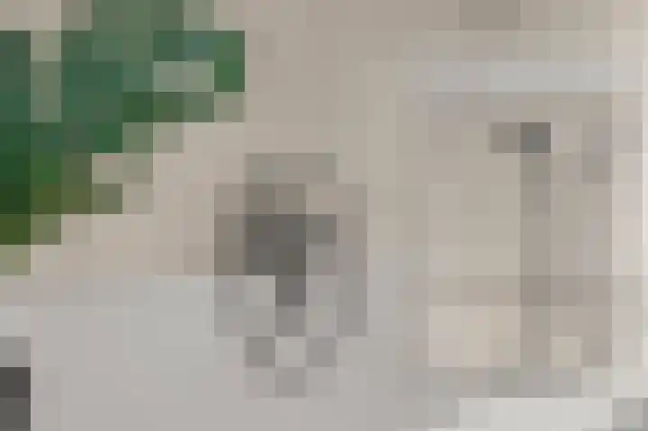 Skoalplein 23 Langezwaag thumbnail 42