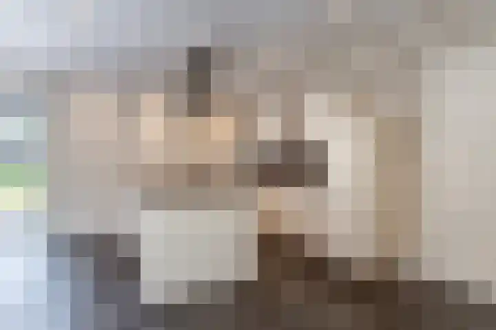 Skoalstrjitte 1 Tzummarum thumbnail 27