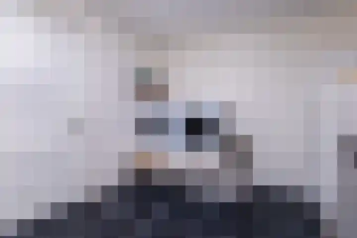 Skoalstrjitte 1 Tzummarum thumbnail 29
