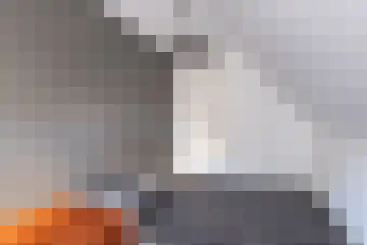 Skoalstrjitte 1 Tzummarum thumbnail 49