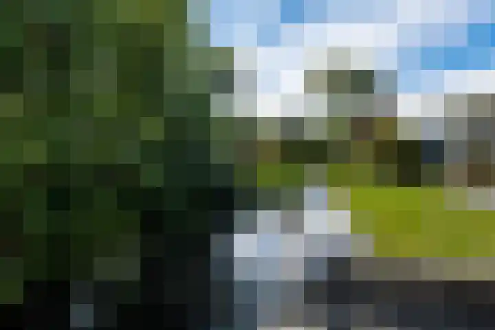 Skoalstrjitte 1 Tzummarum thumbnail 58