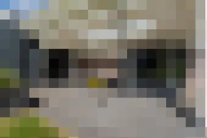 Skoalstrjitte 1 Tzummarum thumbnail 61