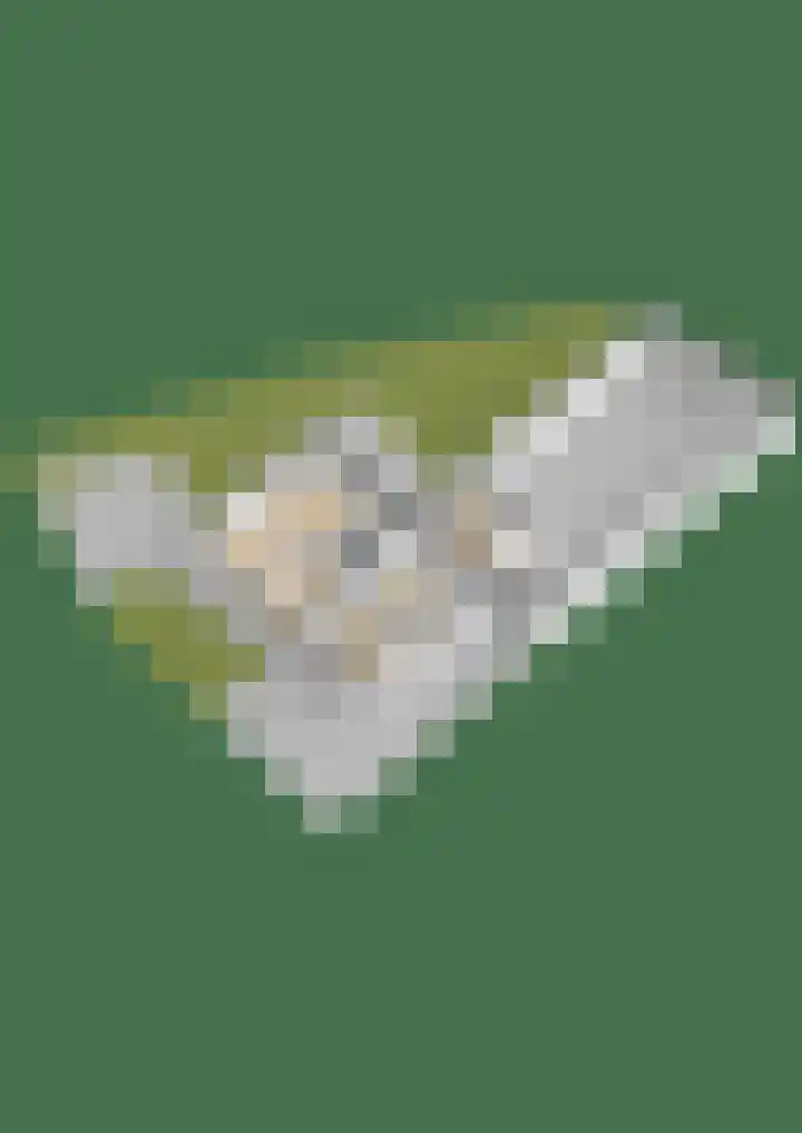 Skoalstrjitte 1 Tzummarum thumbnail 78