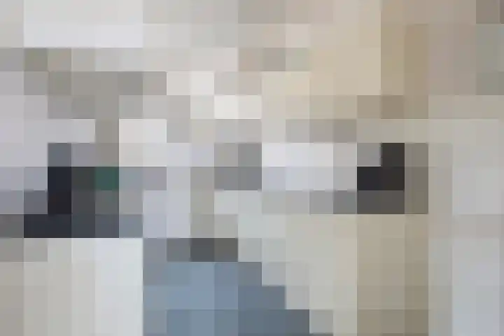 Skoalstrjitte 18 Minnertsga thumbnail 12