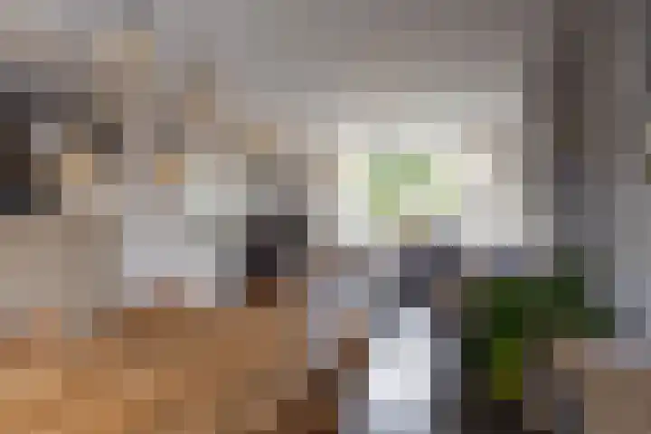 Skoalstrjitte 19 Sexbierum thumbnail 10