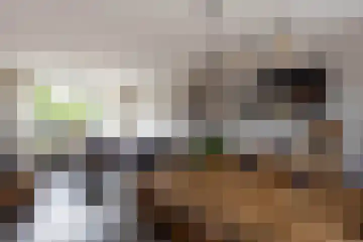 Skoalstrjitte 19 Sexbierum thumbnail 11