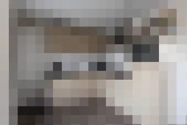 Skoalstrjitte 19 Sexbierum thumbnail 13