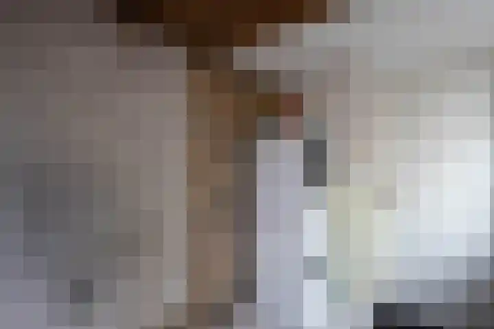 Skoalstrjitte 19 Sexbierum thumbnail 16