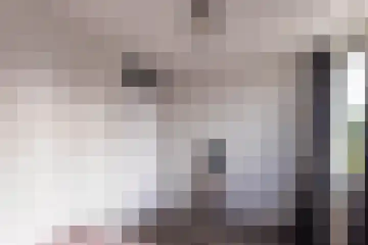 Skoalstrjitte 19 Sexbierum thumbnail 21