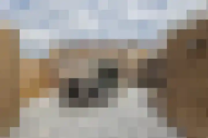Skoalstrjitte 19 Sexbierum thumbnail 31