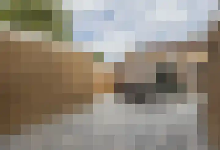 Skoalstrjitte 19 Sexbierum thumbnail 32