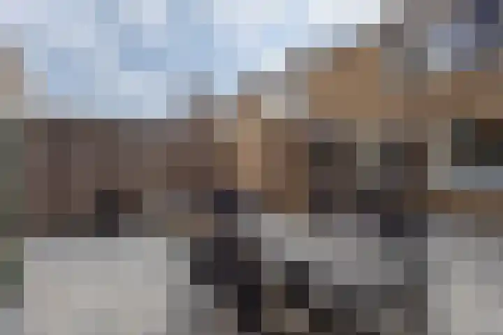 Skoalstrjitte 19 Sexbierum thumbnail 35